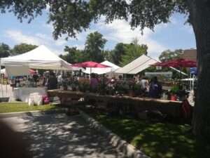 Winter Park: A Look Inside One of My Favorite Florida Cities 4