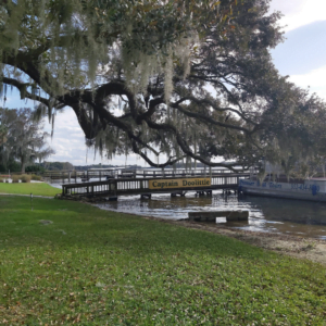 Mount Dora