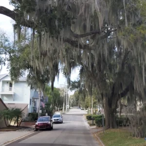 Walkable Street